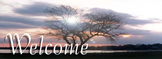 Welcome Money